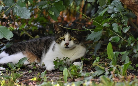 重启vps很久正常吗-VPS联盟