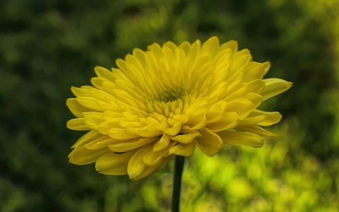 中资源主机控制面板-VPS联盟