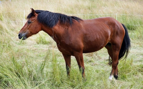 主机保质期-VPS联盟