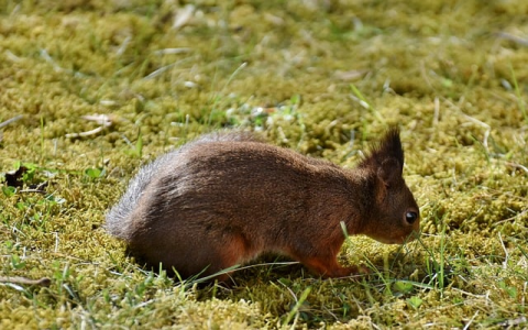 主机安装视频教程-VPS联盟