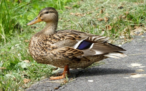 珠海主机托管-VPS联盟