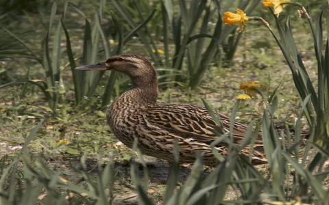 终端服务器超出了最大连接数-VPS联盟