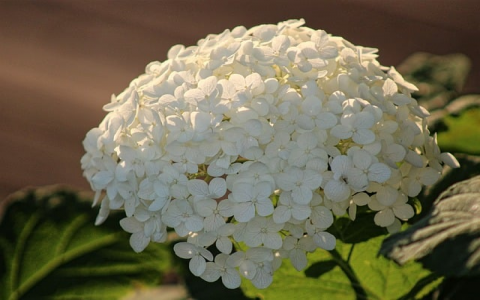 众生网络idc-VPS联盟