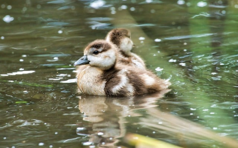 终端服务器连接数增加-VPS联盟