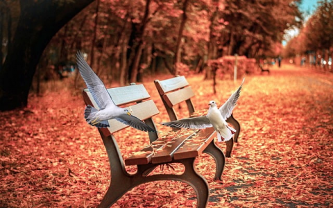 终身空间-VPS联盟