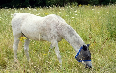 重庆虚拟空间-VPS联盟