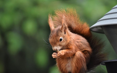 主机DNS服务过滤-VPS联盟