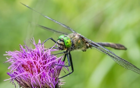 重庆市科技型企业数据库-VPS联盟