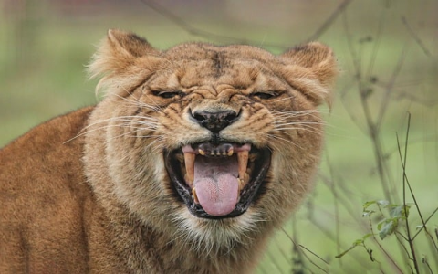 重庆机房建设公司排名-VPS联盟