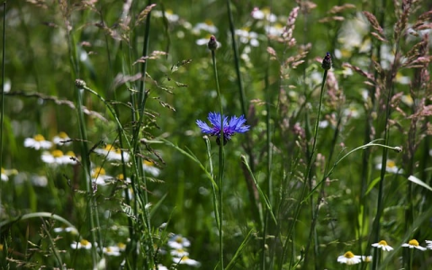 主机报警是在c盘里设置的吗-VPS联盟