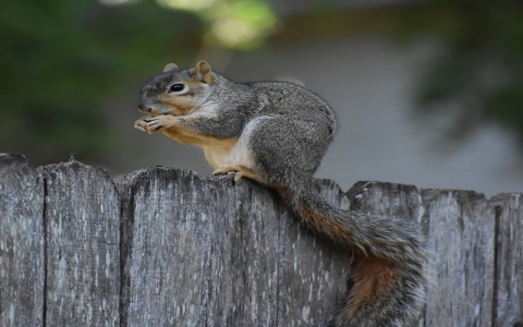 重庆网站空间-VPS联盟