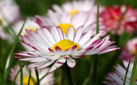 中心机房定义-VPS联盟