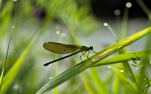 重庆idc托管机房-VPS联盟