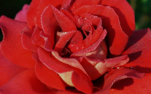 中小企业服务器托管-VPS联盟