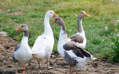 中心机房服务器配置-VPS联盟