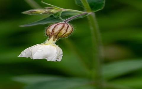 中小企业 机房面积-VPS联盟