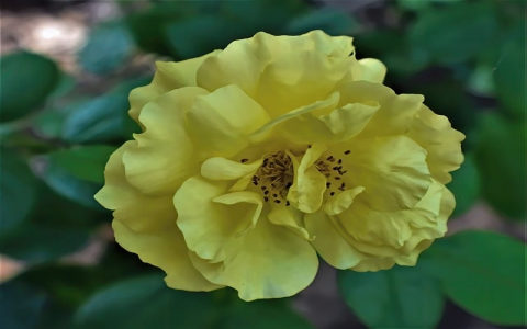 主机超过1000台-VPS联盟