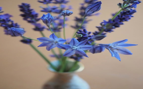 主机厂与经销商的关系-VPS联盟