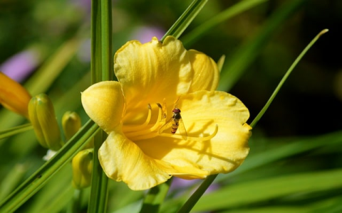 主机91中国公司-VPS联盟