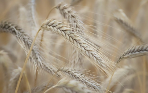 重庆电信vps-VPS联盟