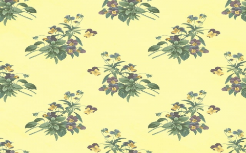 重庆网站租赁空间-VPS联盟