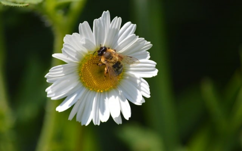 主机80端口-VPS联盟