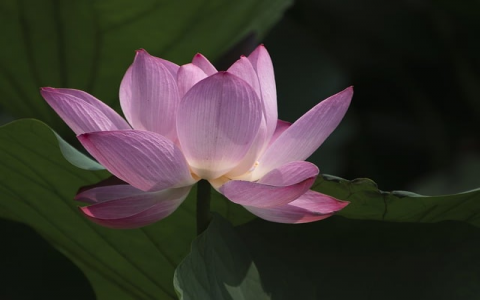 中国环境邮政局订购一年价格-VPS联盟