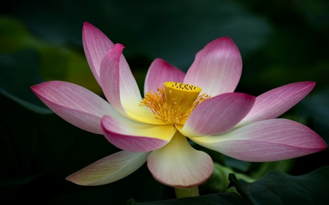 中国空间数据云-VPS联盟