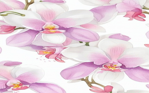 昭通云服务器-VPS联盟