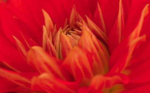 中国移动机房出入管理-VPS联盟