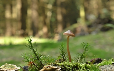 怎么在香港开数据中心-VPS联盟