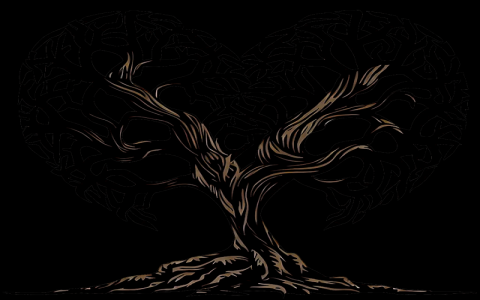 怎么修改机房网速-VPS联盟