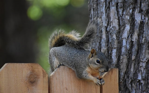 中国联通机房电话-VPS联盟