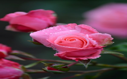 怎么申请ftp账号-VPS联盟