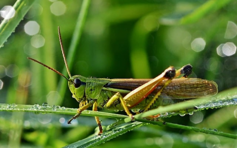 怎么用云服务器-VPS联盟