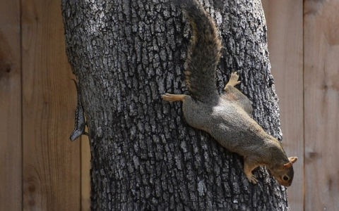 中国的t4机房-VPS联盟