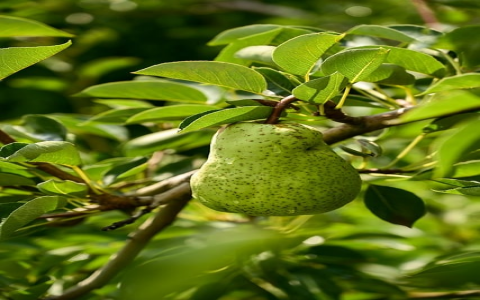 怎么重启vps-VPS联盟