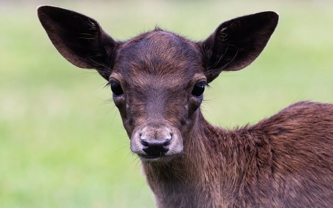 长沙有什么服务器-VPS联盟