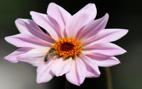 怎么侵入服务器-VPS联盟