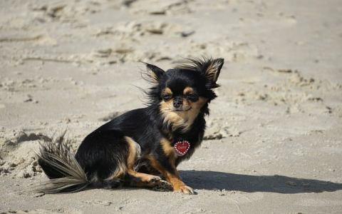 郑州服务器机房在哪儿-VPS联盟