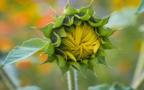 支持java的虚拟主机-VPS联盟