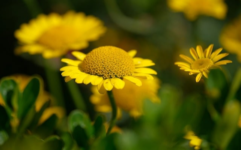 中华330空间-VPS联盟