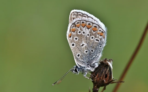 肇庆动态vps-VPS联盟