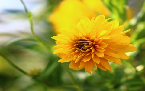 镇江服务器-VPS联盟