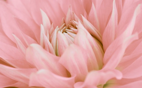 中国为什么没根服务器-VPS联盟