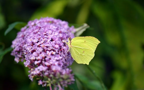 镇江电信服务器-VPS联盟