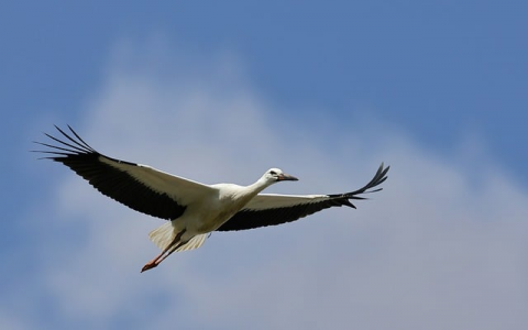 怎样进入云服务器-VPS联盟