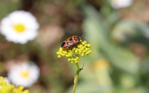 怎么通过ip登录服务器-VPS联盟