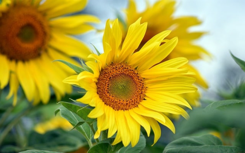 中国移动昌平机房-VPS联盟