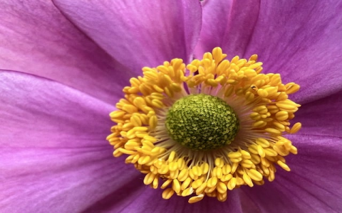 整列服务器-VPS联盟